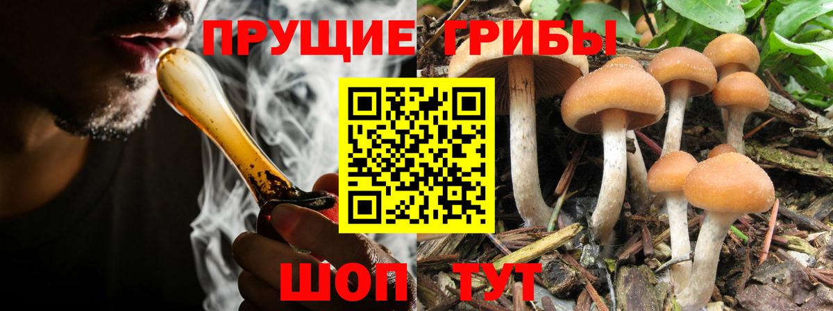 Псилоцибиновые грибы прущие грибы  Вход с VPN  Ливны 